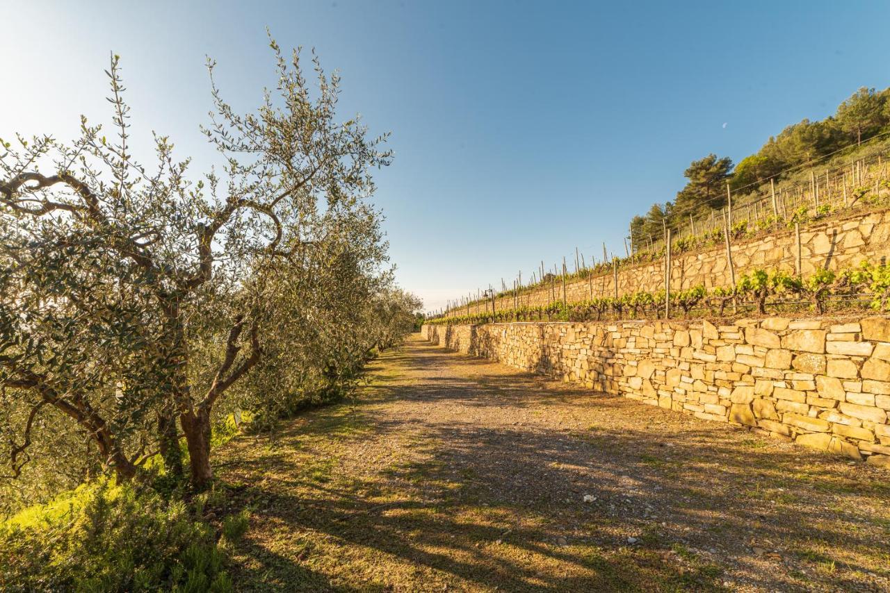 Casetta Mari Immersa In Un Vigneto Dolceacqua Exteriör bild